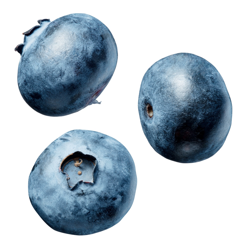 Blueberries, isolated on a white background