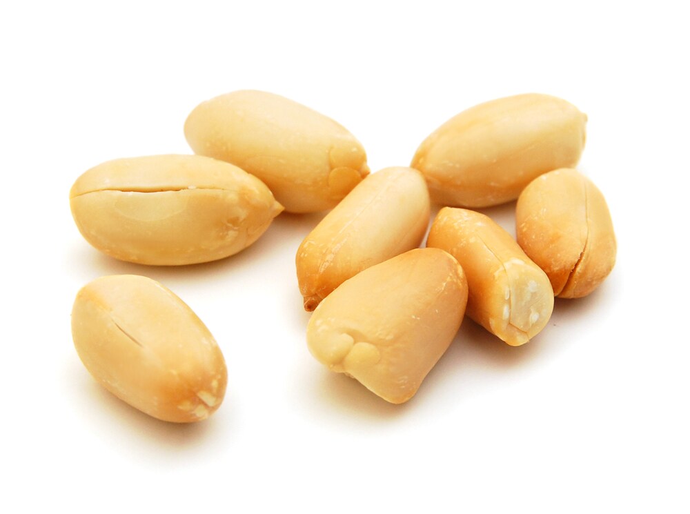 Processed peanuts, isolated on a white background