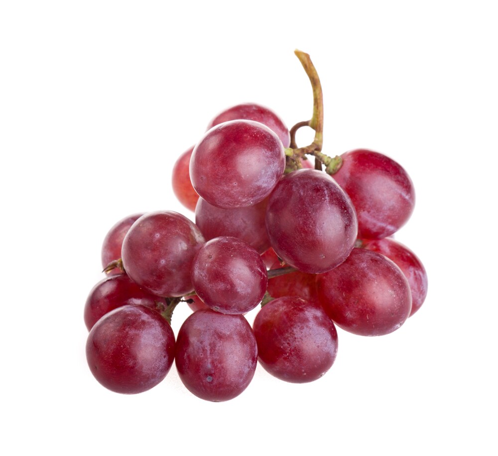 Purple table grapes, isolated on a white background