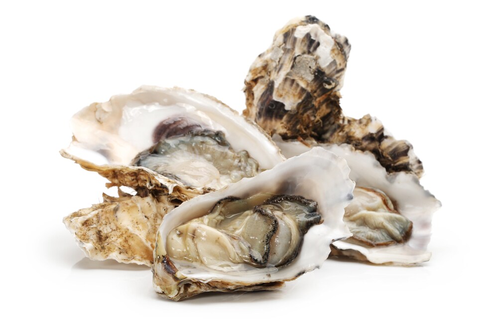 Fresh opened oysters, isolated on a white background