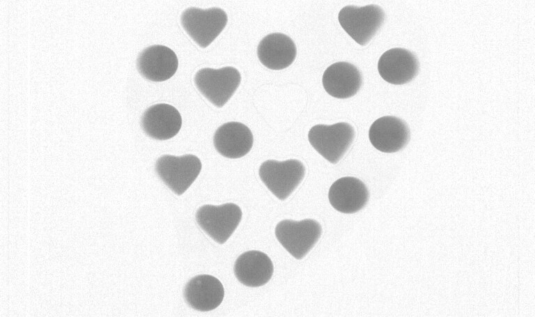 xray chocolate box 1 missing