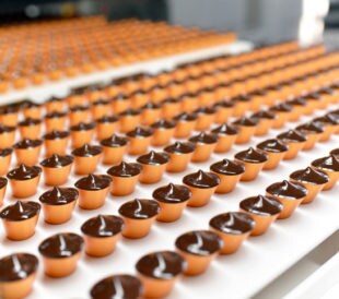 Production of pralines in a factory for the food industry - automatic conveyor belt with chocolate