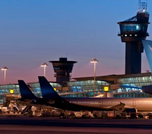 Turkey Intercepts Bonsai, Bananas, and Cocaine