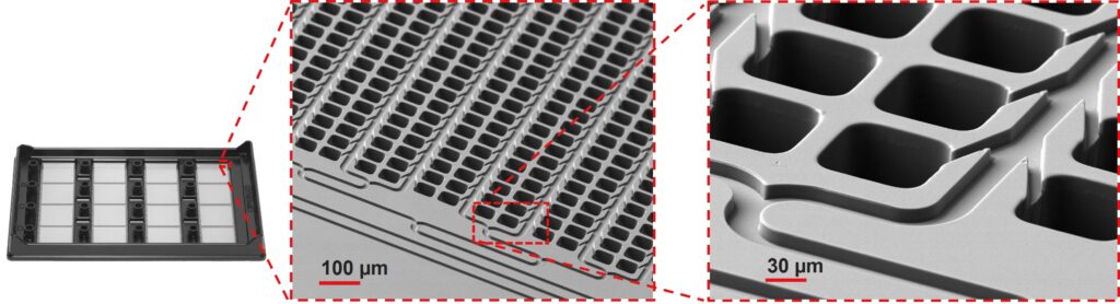 図5. MAP16プレートの拡大図