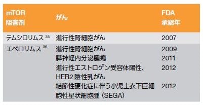 表3.2．悪性腫瘍治療薬として米国FDAで承認されたmTOP阻害剤