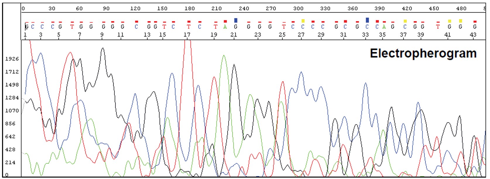 シーケンスの波形がでない 試してみたい2つのこと Learning At The Bench