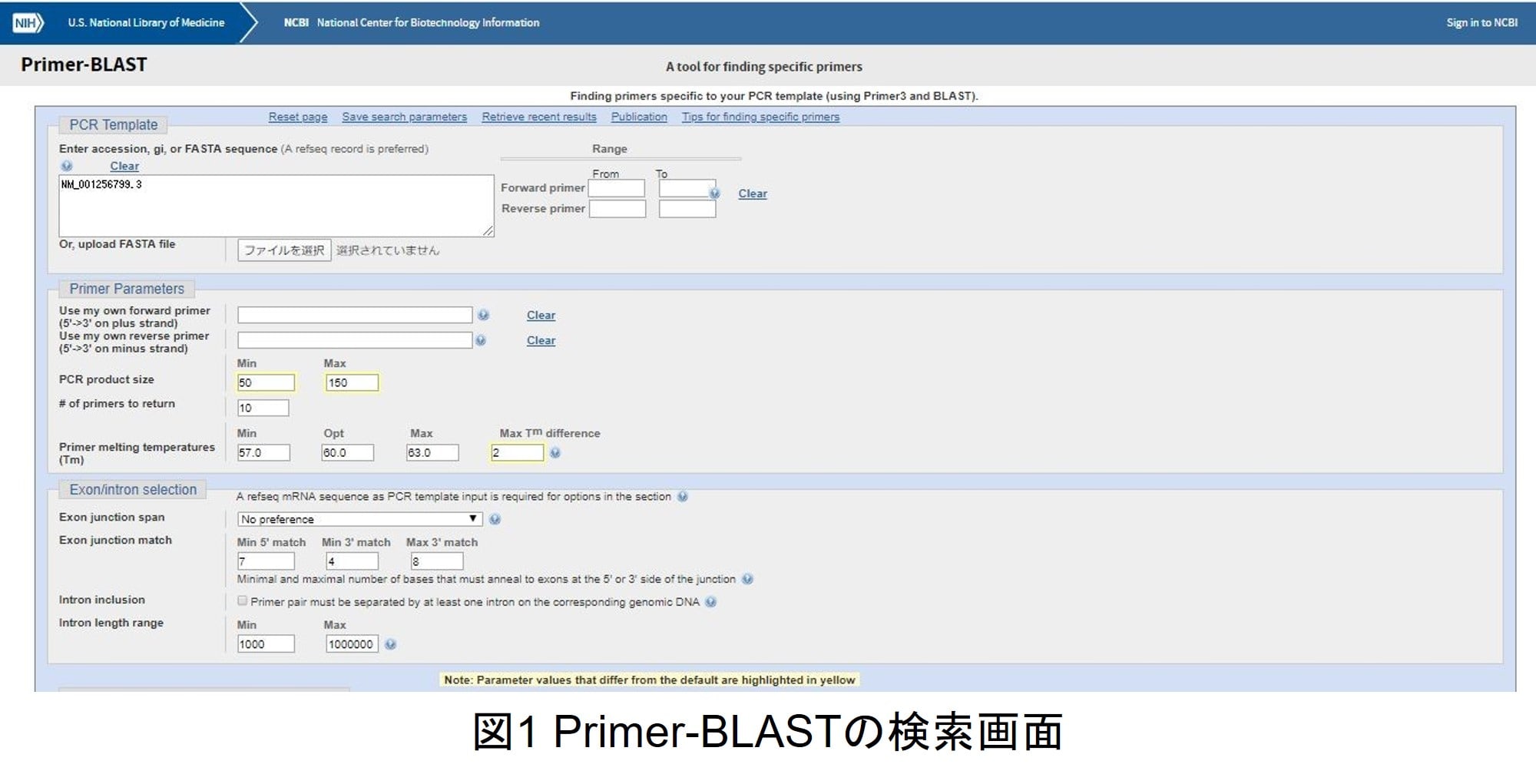 初心者でも安心 リアルタイムpcr用プライマーデザインのコツ Learning At The Bench