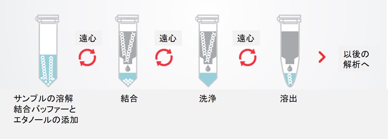 ゲノムdna精製システム選択ガイド サンプルやスループットに合った適切な精製システムの選択のために Learning At The Bench