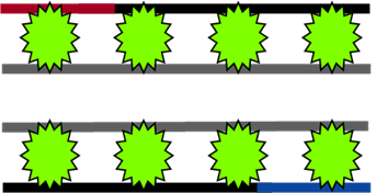 SYBR Greenの模式図