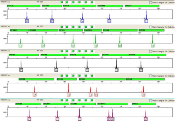 1000男性／女性混合サンプルのデータ例