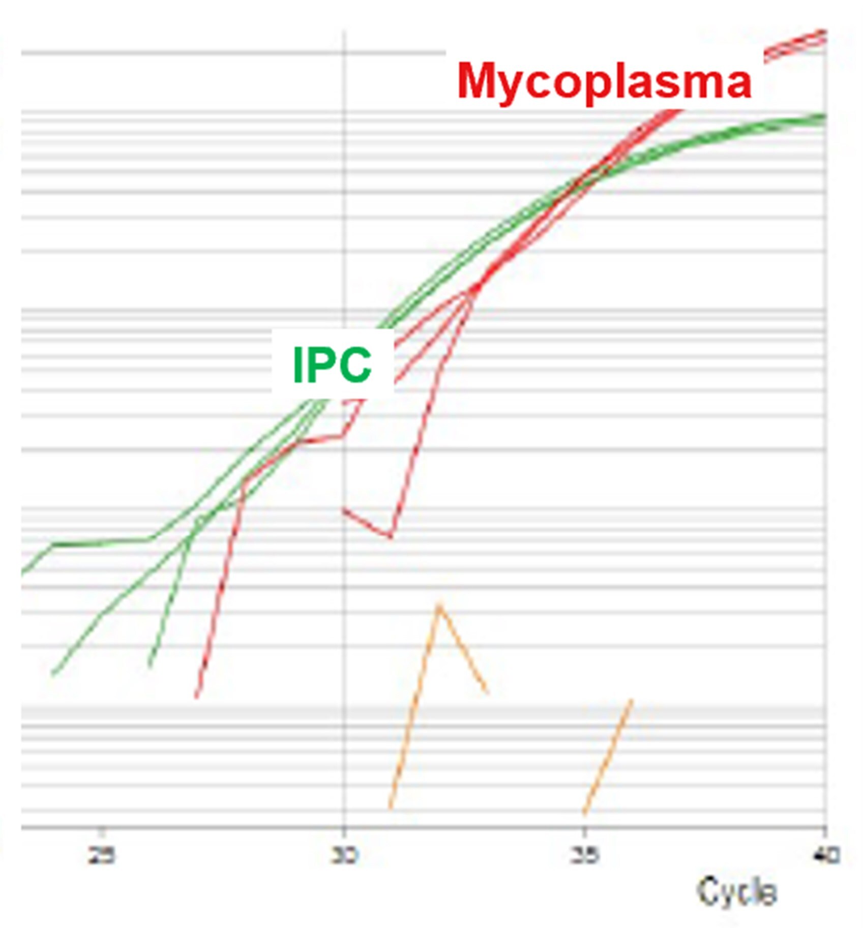 図4. 10コピーのマイコプラズマゲノムDNAを検出