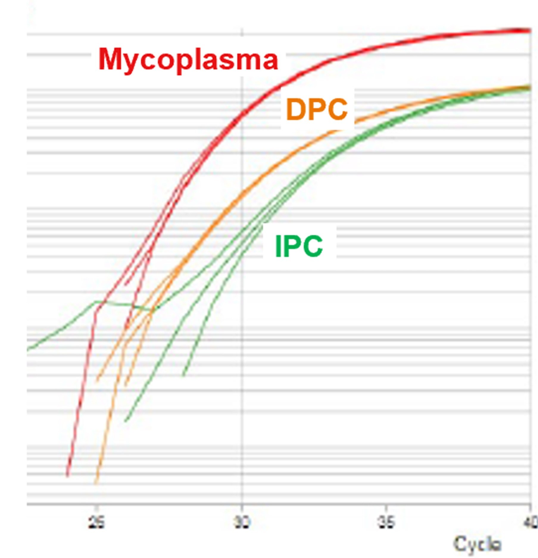 図3. 2,000コピーのDPCを検出