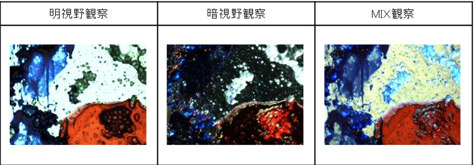 図4. ポリマー粒子分散フィルム上に付着したインクの可視観察画像