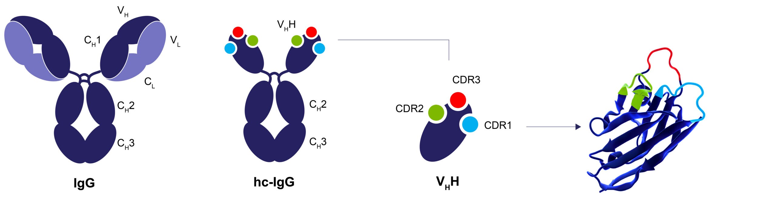 図2. Thermo Scientific™ CaptureSelect™テクノロジー