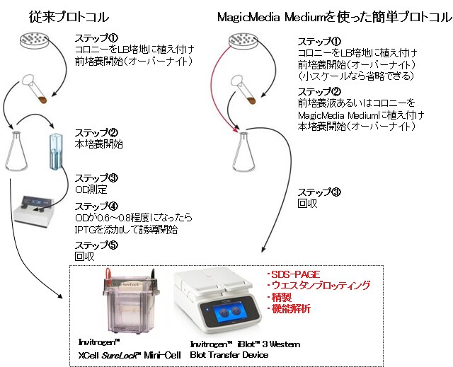 図2. プロトコルの比較