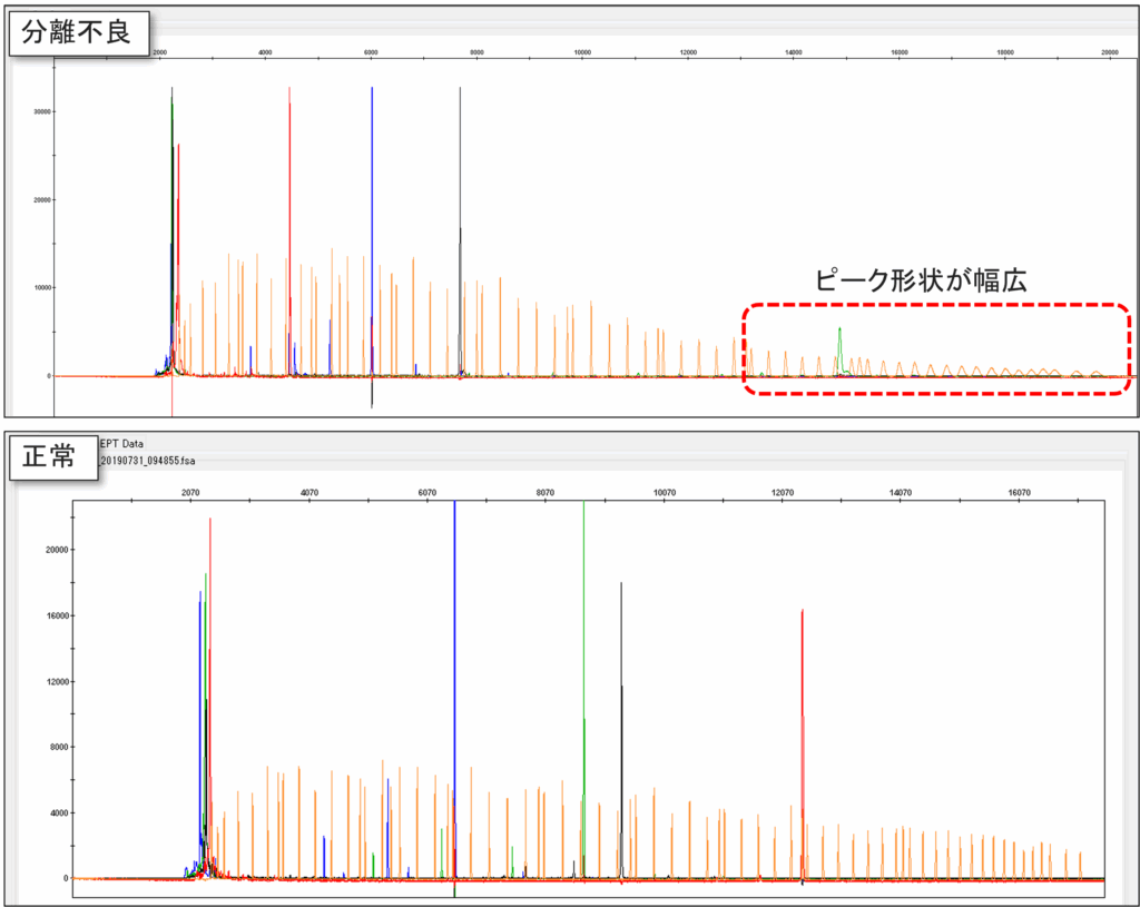 GeneScan 1200 LIZ Rawデータ例　上段：分離不良発生時、下段：正常時