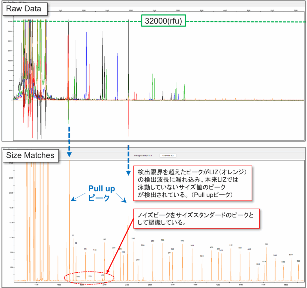 Off ScaleがSizing Qualityに影響を及ぼしているデータ例