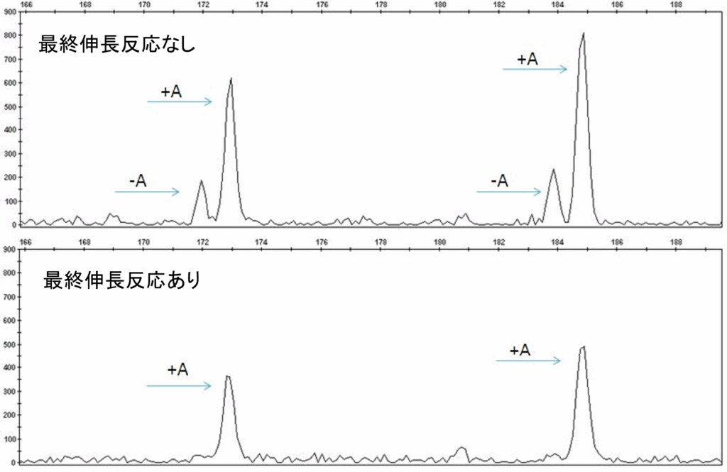図3 プラスAピークのデータ 例