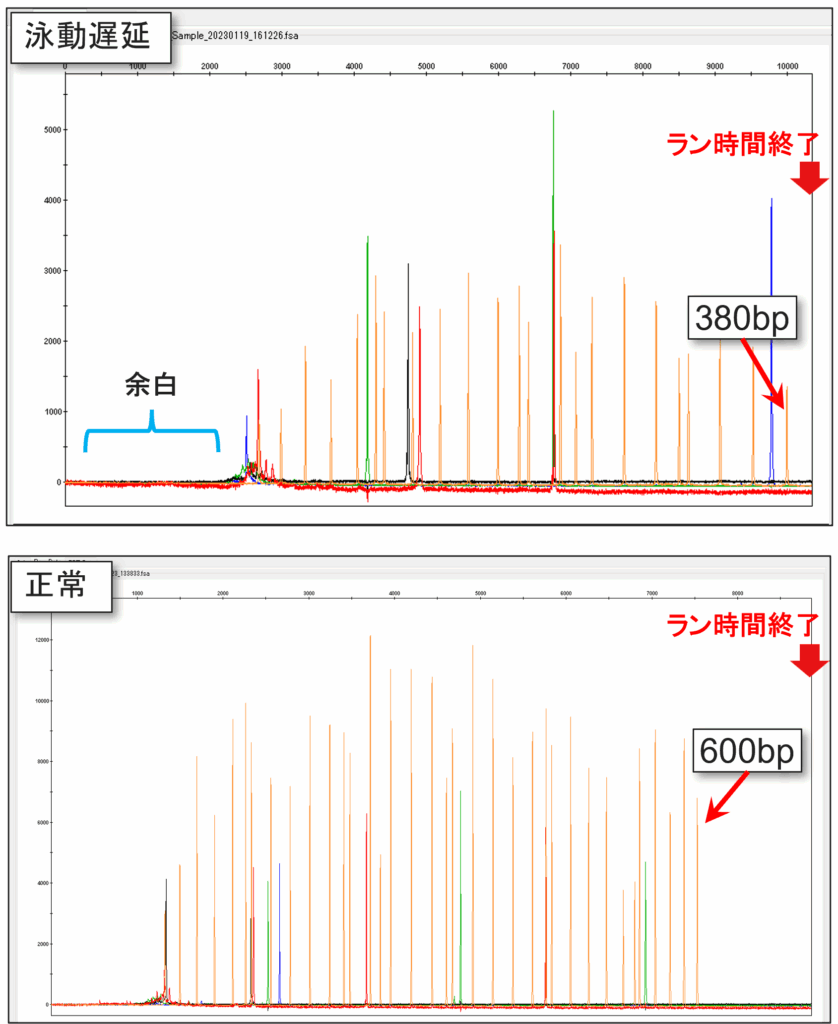 GeneScan 600 LIZ Rawデータ例　上段：泳動遅延発生時、下段：正常時 