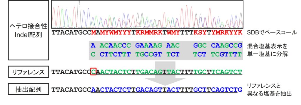 Indel解析方法の概念図