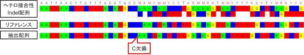 ツールを用いたIndel解析結果