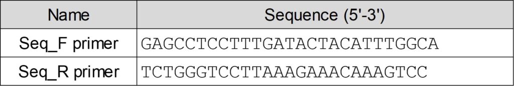 表2 プライマーの塩基配列