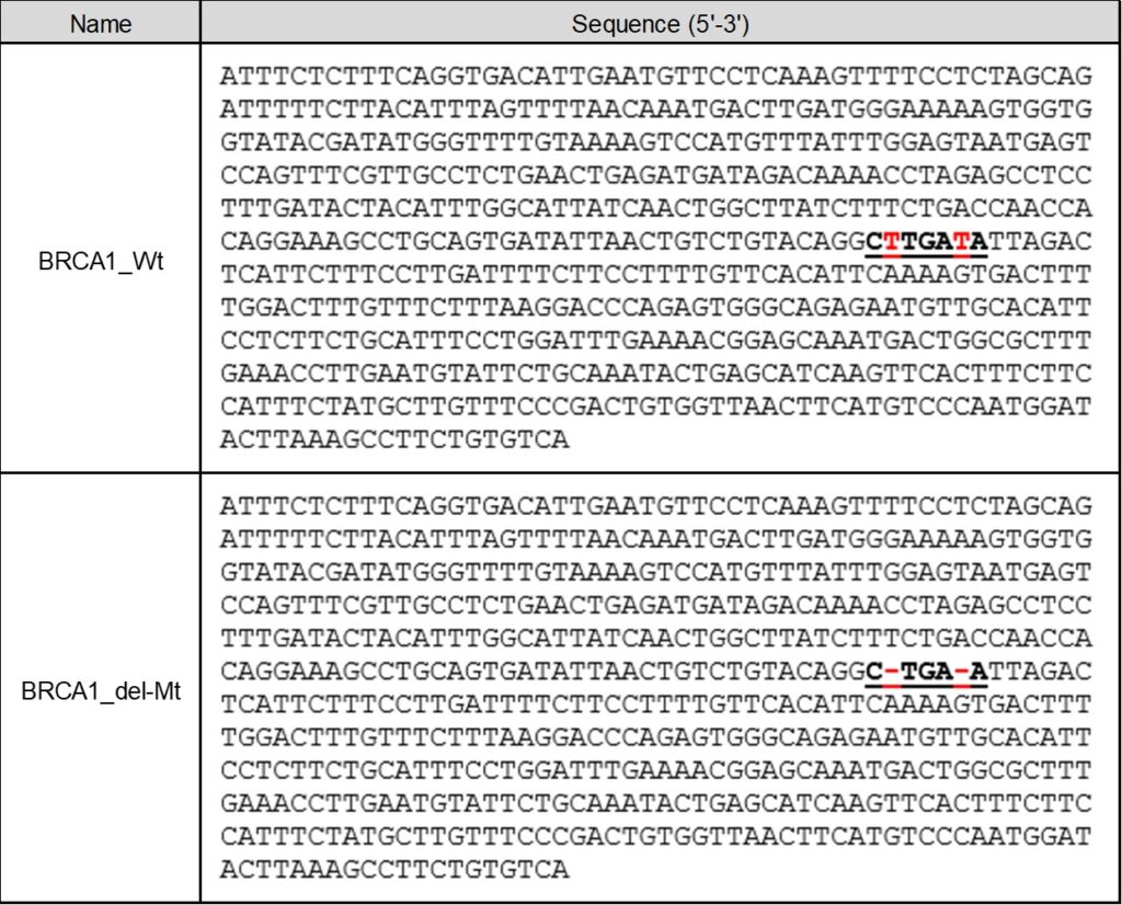 表1 DNAサンプルの塩基配列　BRCA1_Wt：野生型、BRCA1_del-Mt：変異型、赤字：欠損変異箇所（BRCA1_del-Mtでは、BRCA1_Wtの2か所のTが欠損）