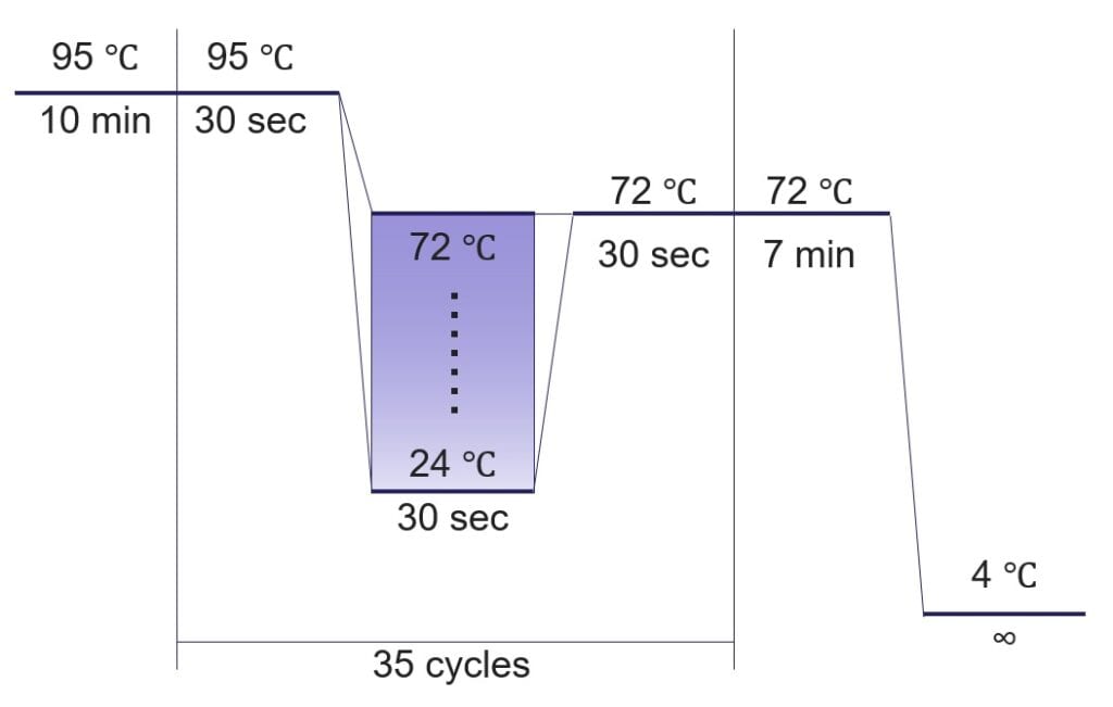 アニーリング温度の変化を示すグラフ