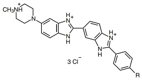 Hoechst 33258の構造