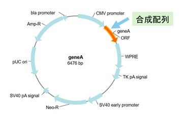 図5. Review画面で確認できるベクターマップの例