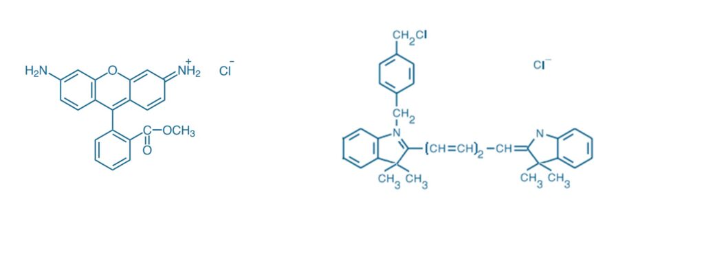 Rhodamine 123およびMitoTracker™ Deep Red