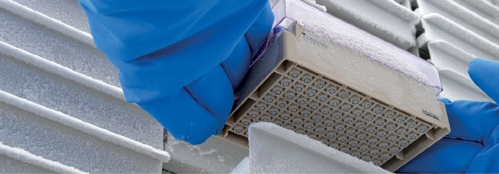 Scientist pulling samples out of ultra-low temperature freezer