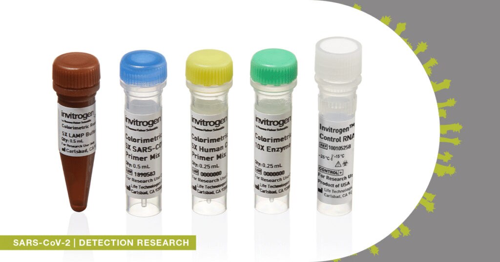 Colorimetric ReadiLAMP Kit for SARS-CoV-2 Detection 
