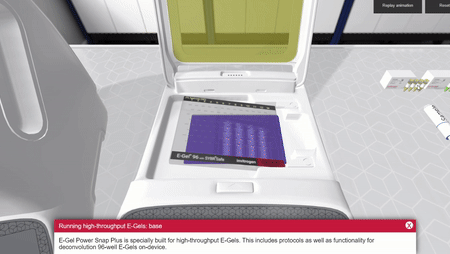 A virtual demonstration of running high-throughput E-gels in the E-Gel Power Snap Plus base 