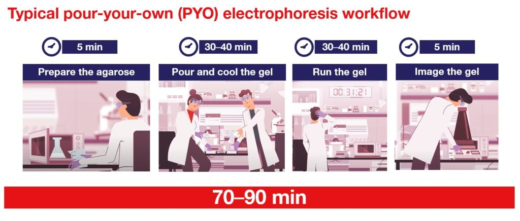 Typical pour-your-own electrophoresis workflow illustration