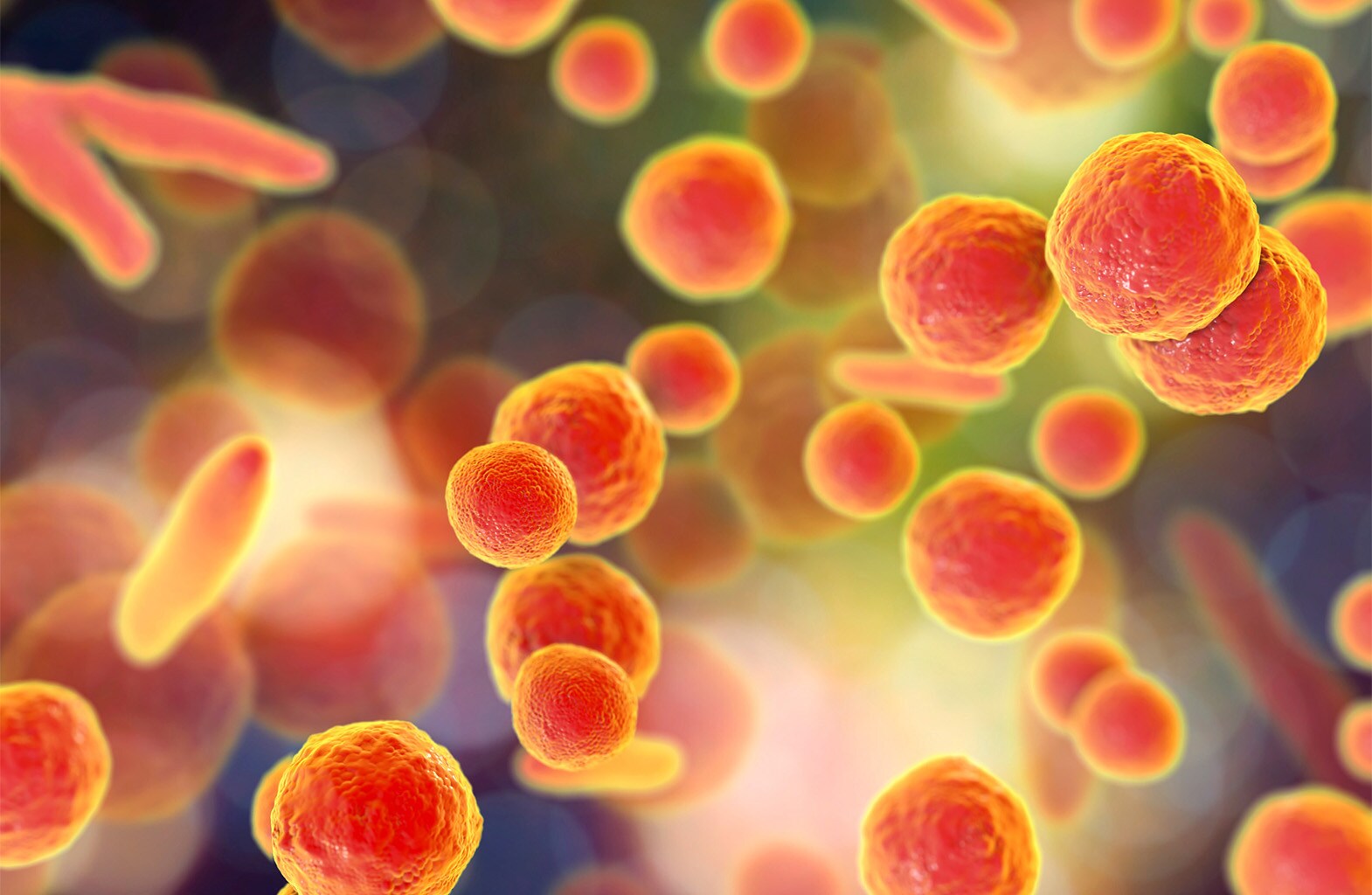 Mycoplasma contamination poses a significant threat to the efficacy and safety of therapies.