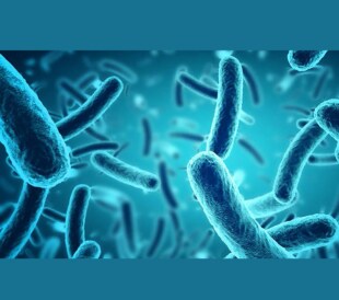 Mycoplasma featured image