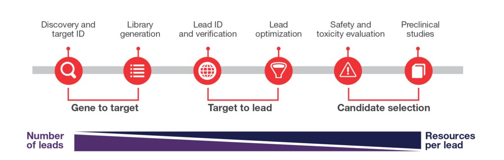 Therapeutic antibody development workflow 
