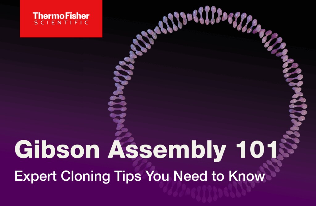 Gibson Assembly 101: Expert Cloning Tips You Need to Know
