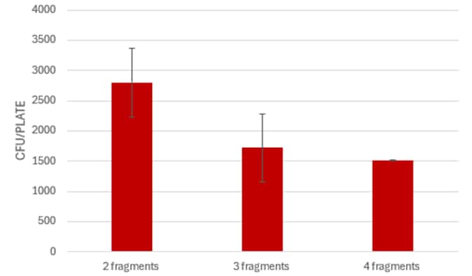 Comparison of Rapid DNA and Standard Transformation protocols (R&D data)