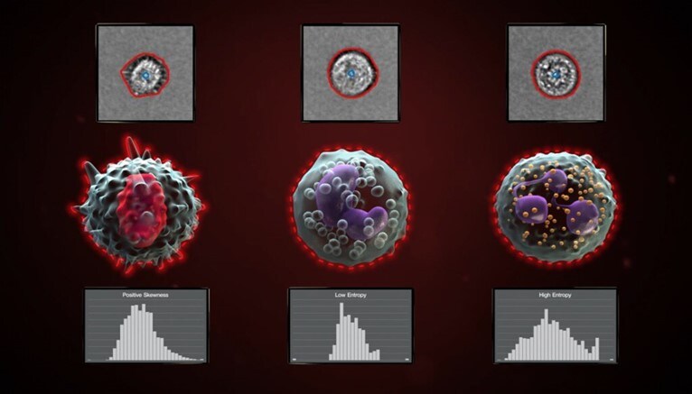 Training your AI image annotation model for image-enhanced flow cytometry samples