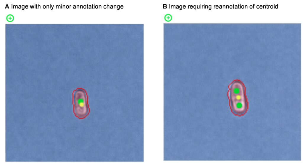 Deciding on the level of AI image model reannotation required