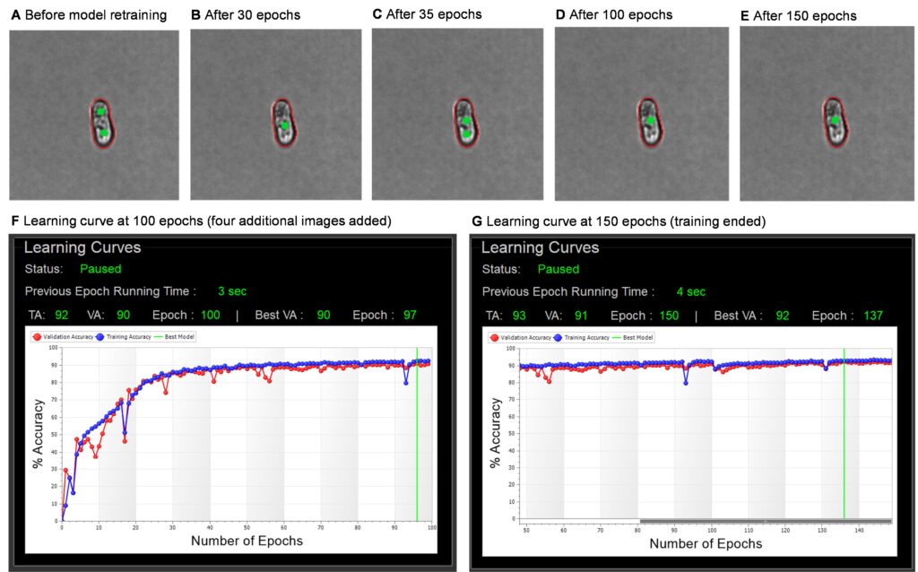 Deciding when to add more events or end AI image model training