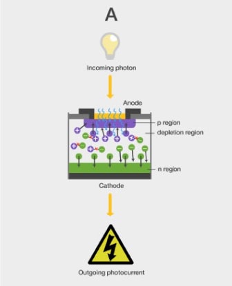 Illustration of photodiode detector physics.