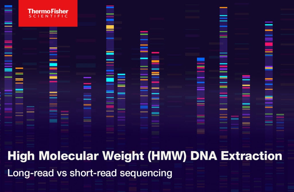HMW DNA Extraction
