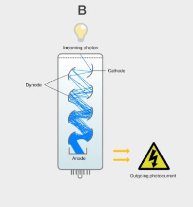 Illustration of PMT detector physics. 