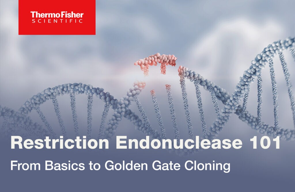 Restriction Endonuclease 101