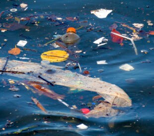 ocean plastic pollution