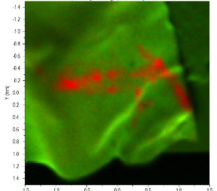 Putting Two Great Techniques Together for In-Depth Analysis of 2D Materials