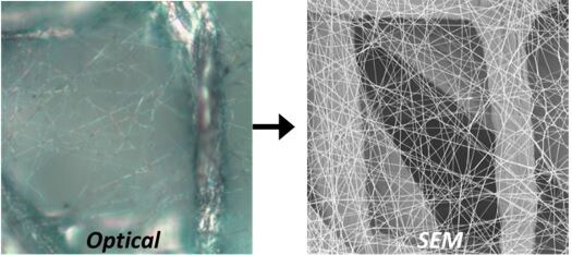 Fiber analysis with optical and scanning electron microscopes